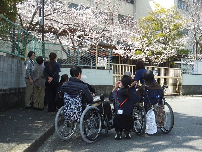 春はお花見♪