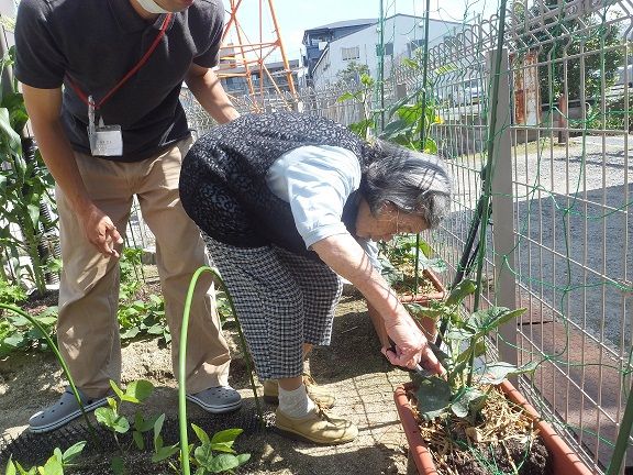 濱川様収穫
