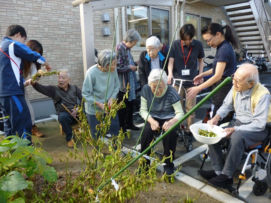 木楽里農園☆待望の枝豆収穫祭♪