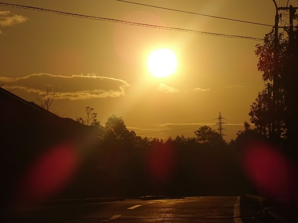 酉年の始まり♪