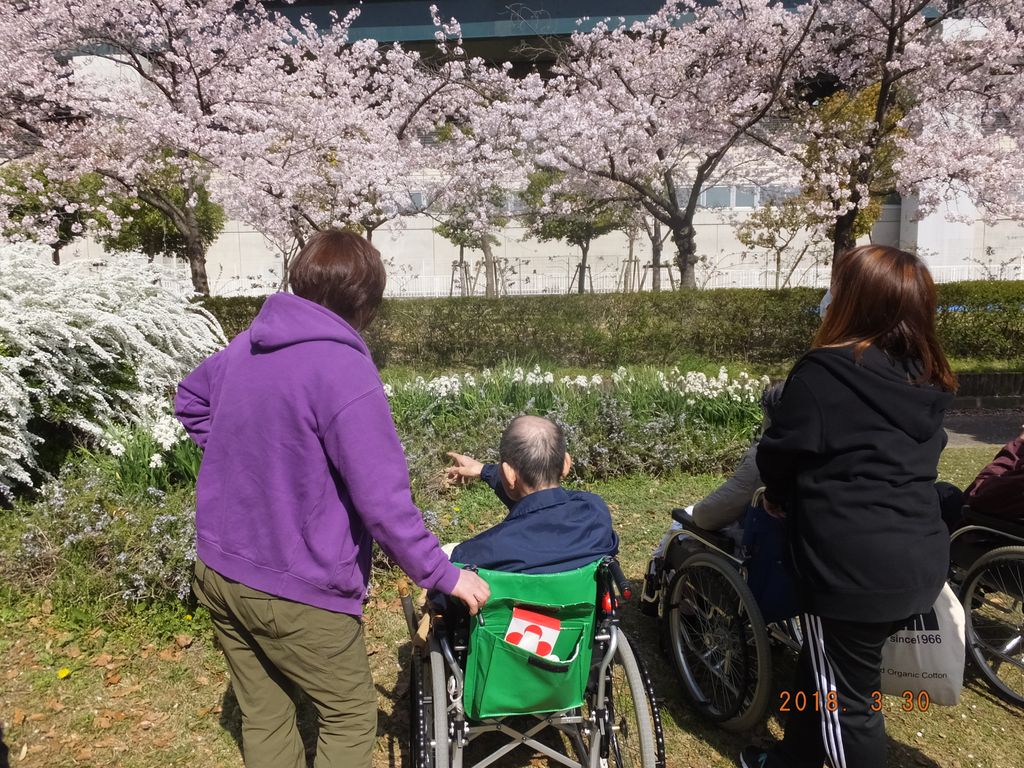 お花見のお話