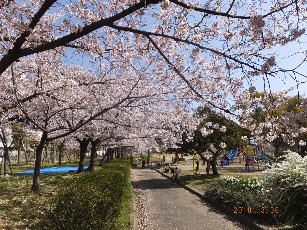 DSCF9062