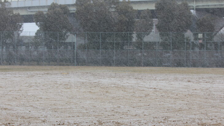久々に降雪